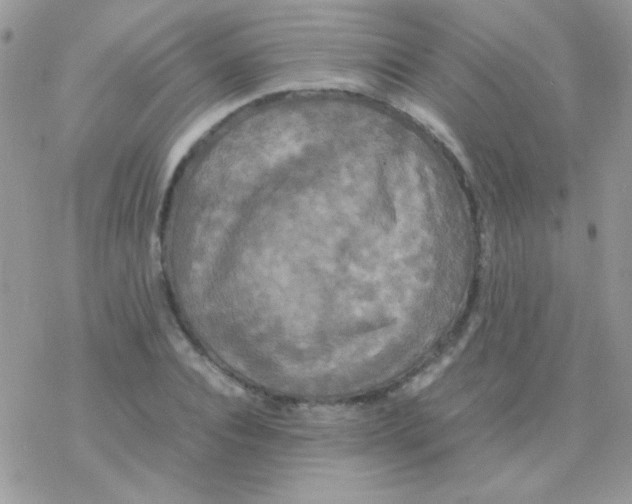 X0000077360928200611171919