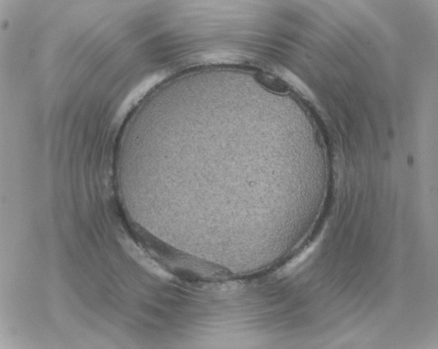 X0000077360930200611171919