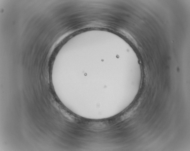 X0000077360931200611171919