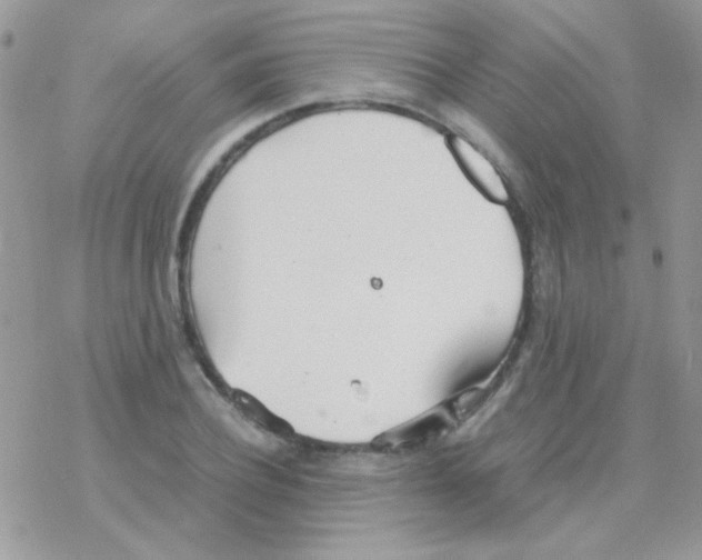 X0000077360932200611171919