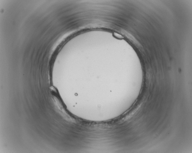 X0000077360934200611171919