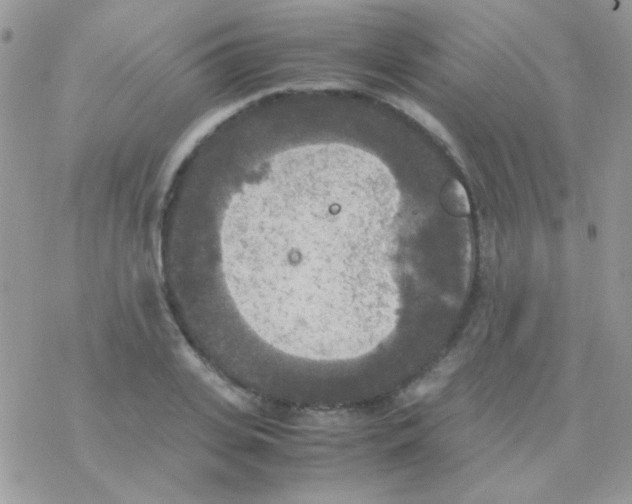 X0000077360935200611171919