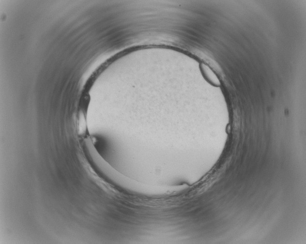 X0000077360936200611171919