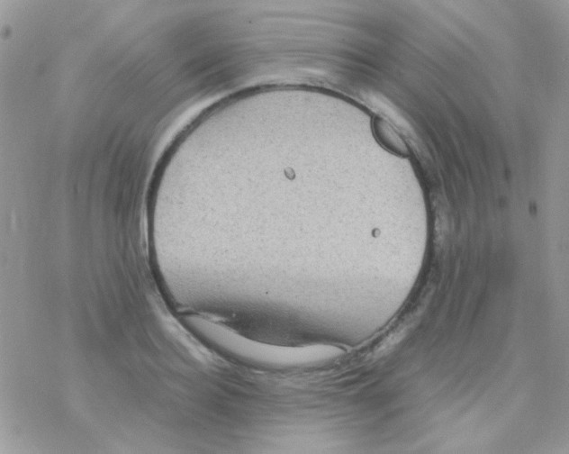 X0000077360940200611171920