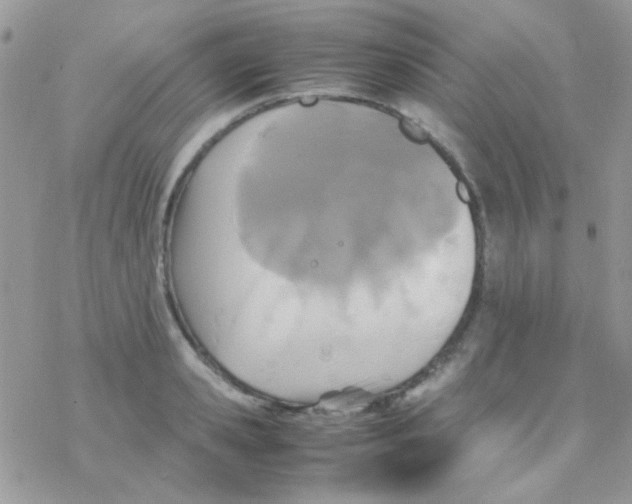 X0000077360941200611171920