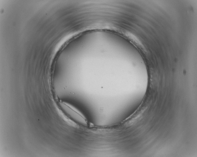 X0000077360942200611171920