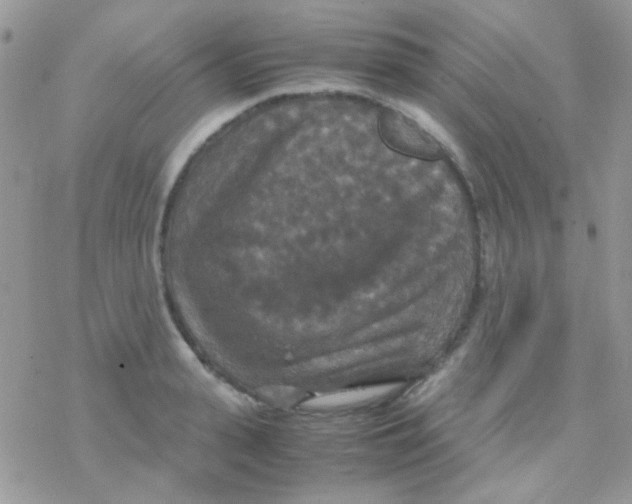 X0000077360943200611171920