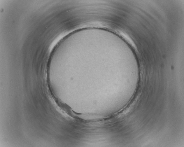 X0000077360944200611171920