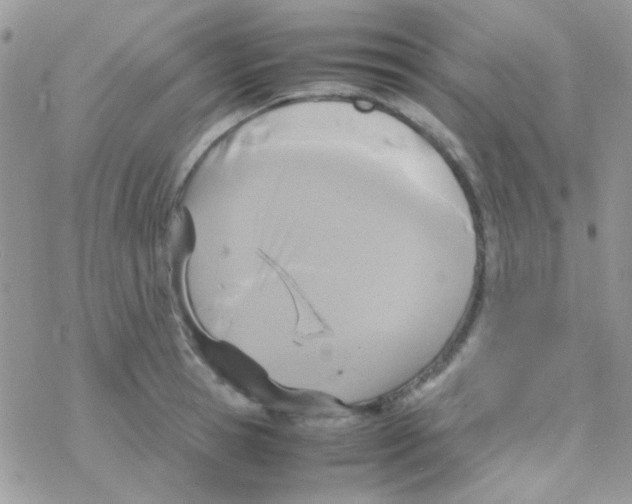 X0000077360945200611171920