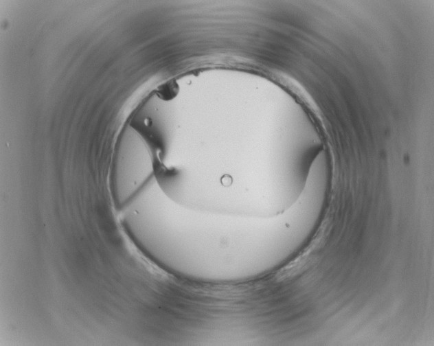 X0000077360946200611171920