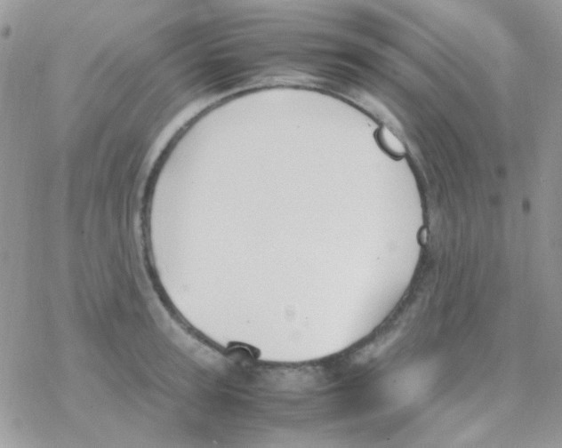 X0000077360947200611171920