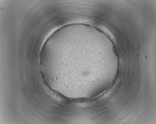 X0000077360948200611171920