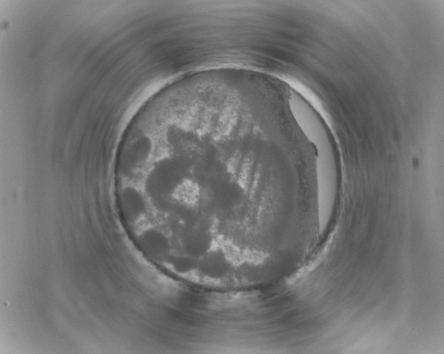 X0000077360949200611171920