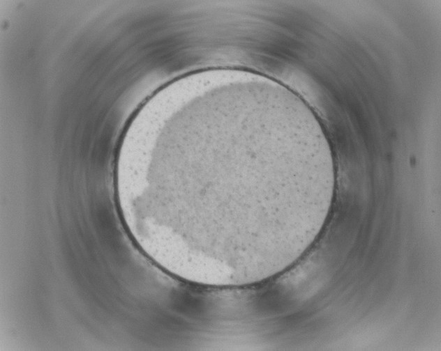 X0000077360950200611171920