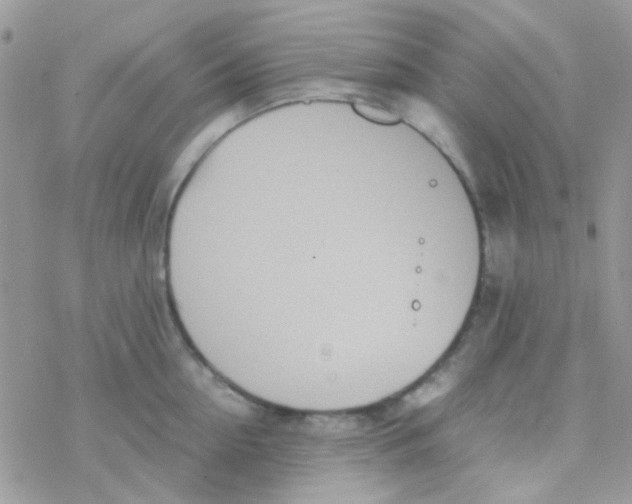 X0000077360954200611171920