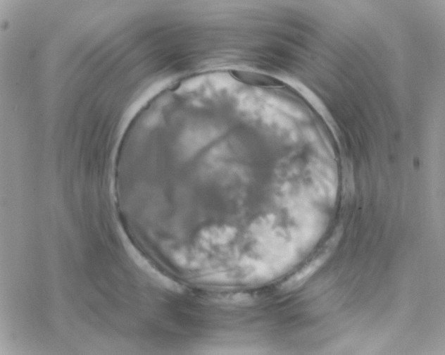 X0000077360957200611171920