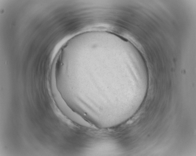 X0000077360960200611171920