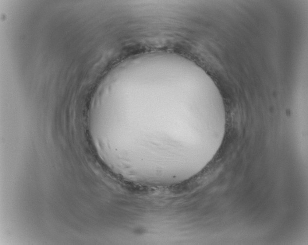 X0000077360961200611171919