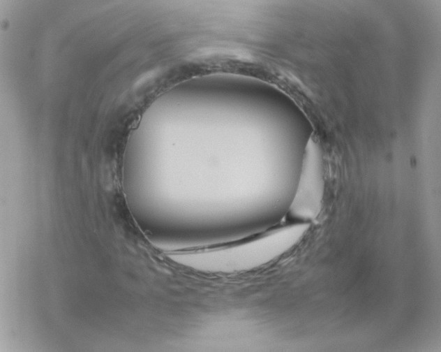 X0000077360965200611171919