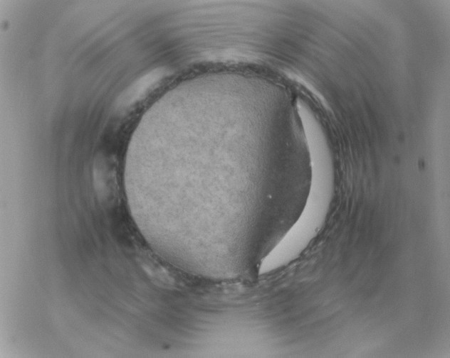 X0000077360968200611171919