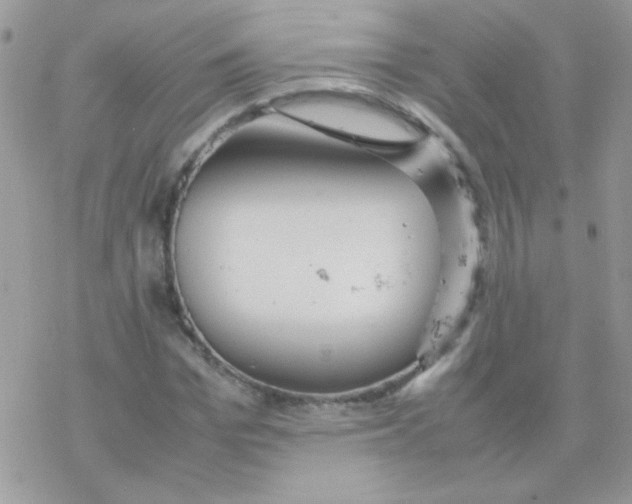 X0000077360969200611171919