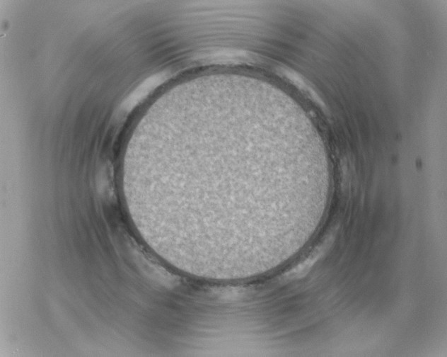 X0000077360970200611171919