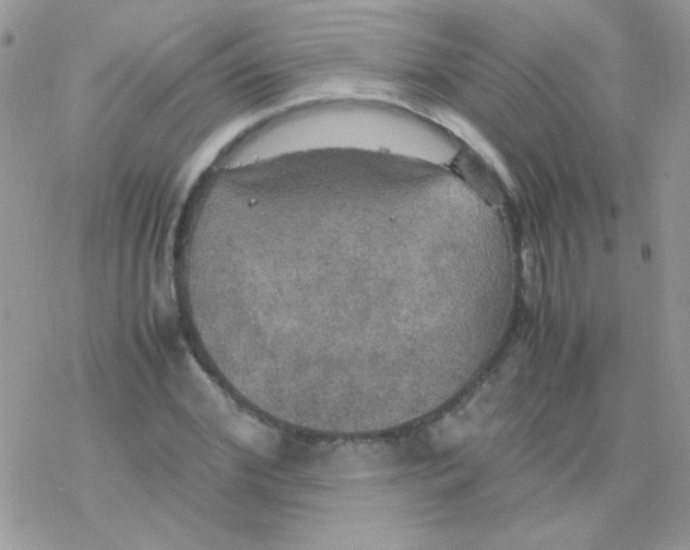 X0000077360972200611171919