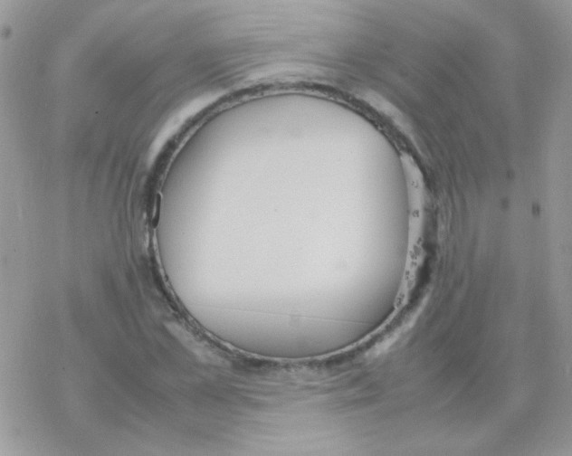 X0000077360973200611171919