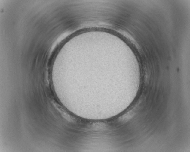 X0000077360974200611171919