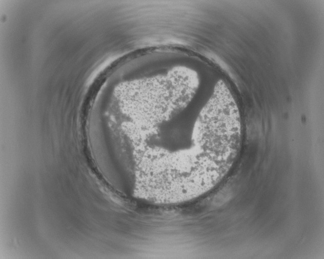 X0000077360975200611171919