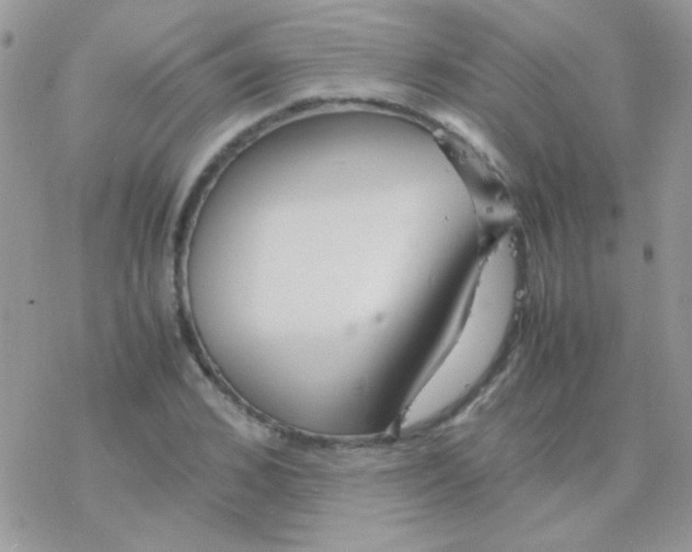 X0000077360976200611171919