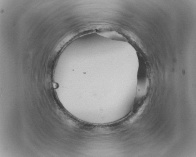 X0000077360977200611171919