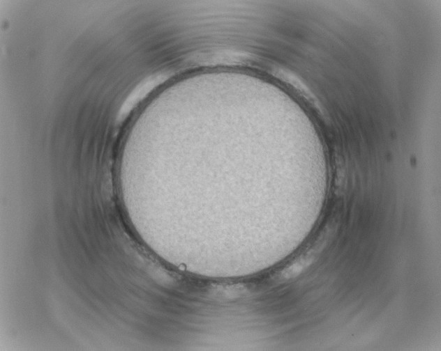 X0000077360978200611171919