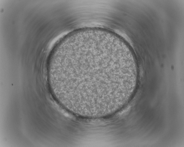 X0000077360979200611171919