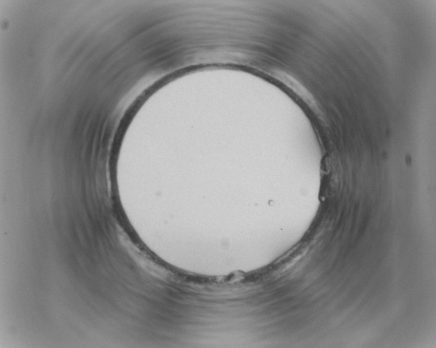 X0000077360980200611171919