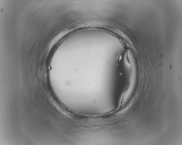 X0000077360981200611171919