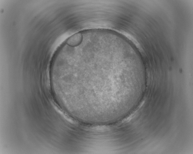 X0000077360982200611171919