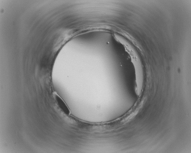 X0000077360985200611171919