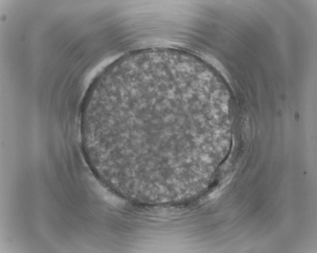 X0000077360987200611171919