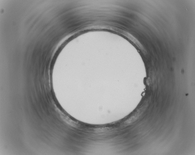 X0000077360988200611171919