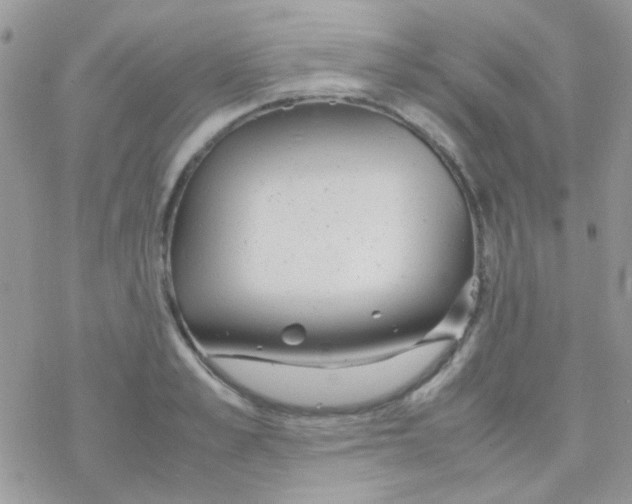 X0000077360989200611171919