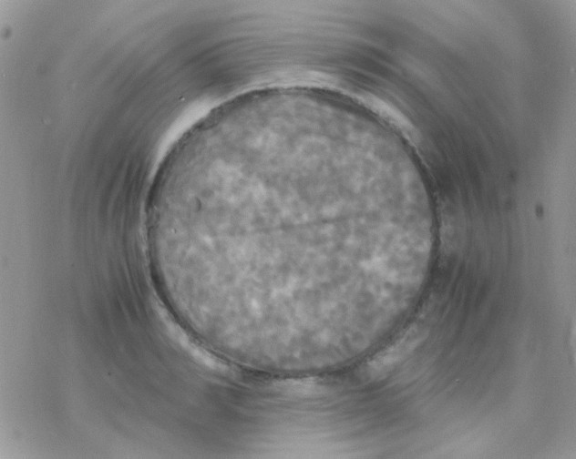 X0000077360990200611171919