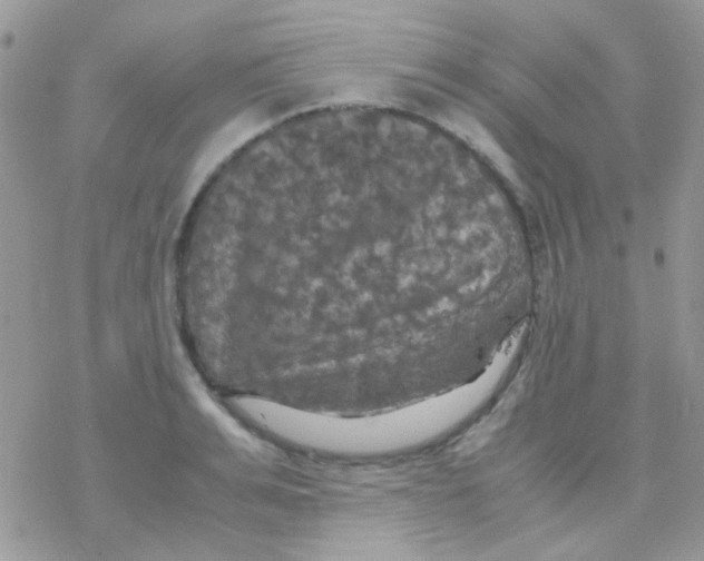 X0000077360991200611171919