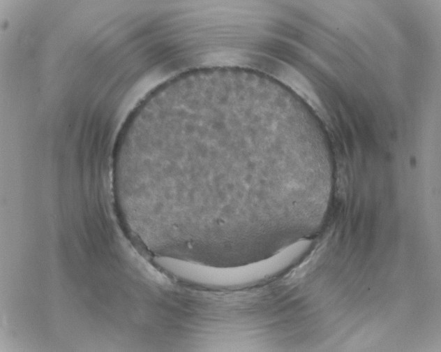 X0000077360992200611171919