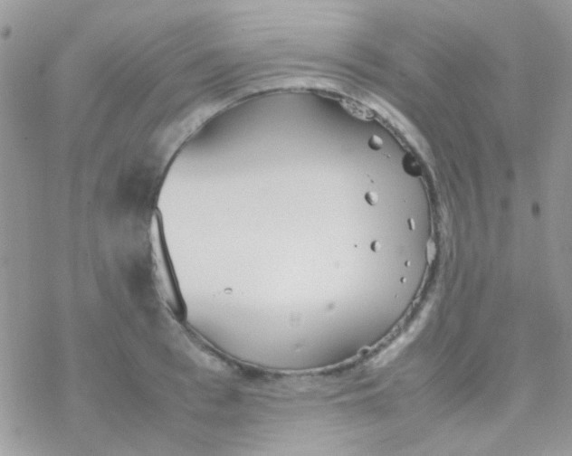 X0000077360993200611171919