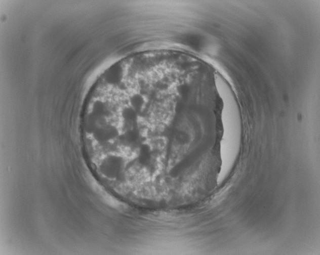 X0000077360995200611171919