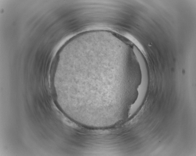 X0000077360996200611171919