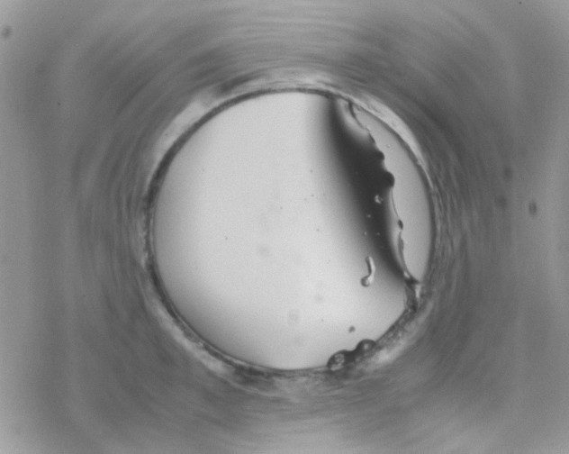 X0000077360997200611171918