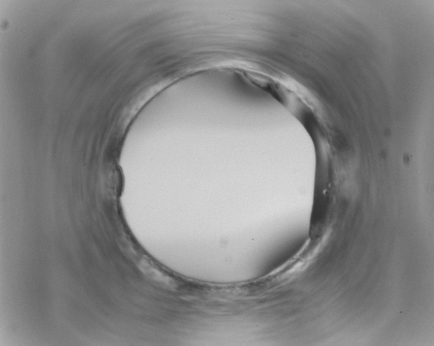 X0000077361001200611171918