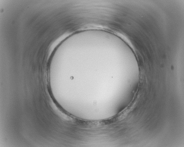 X0000077361003200611171918